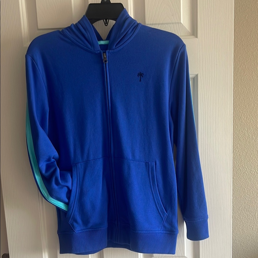 The Children's Place Blue Hoodie with Aqua Accents
